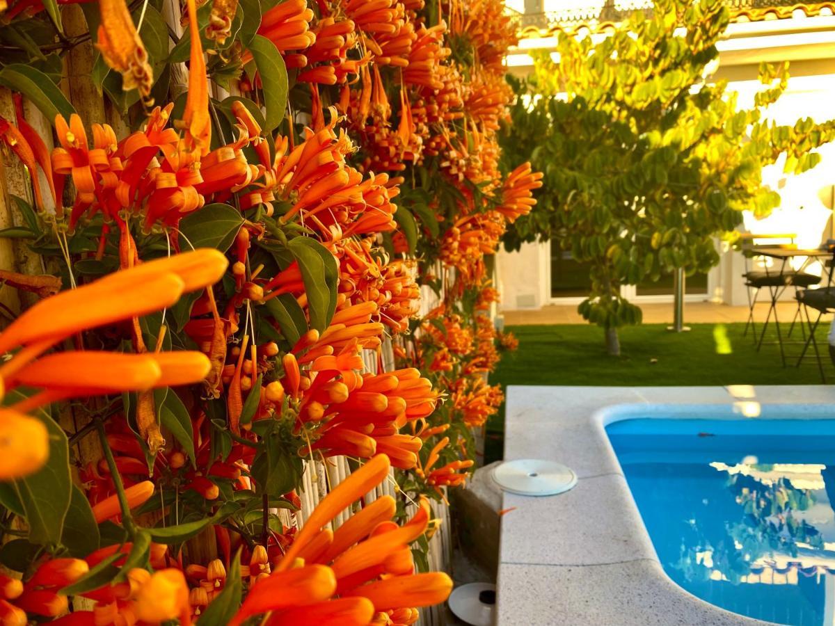 מאלגה Suite Breeze - Private Heated Pool מראה חיצוני תמונה